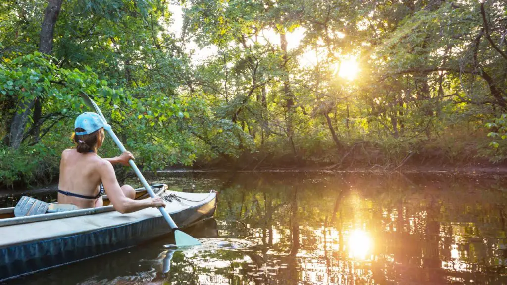 A girl is kayaking into the mangrove forest