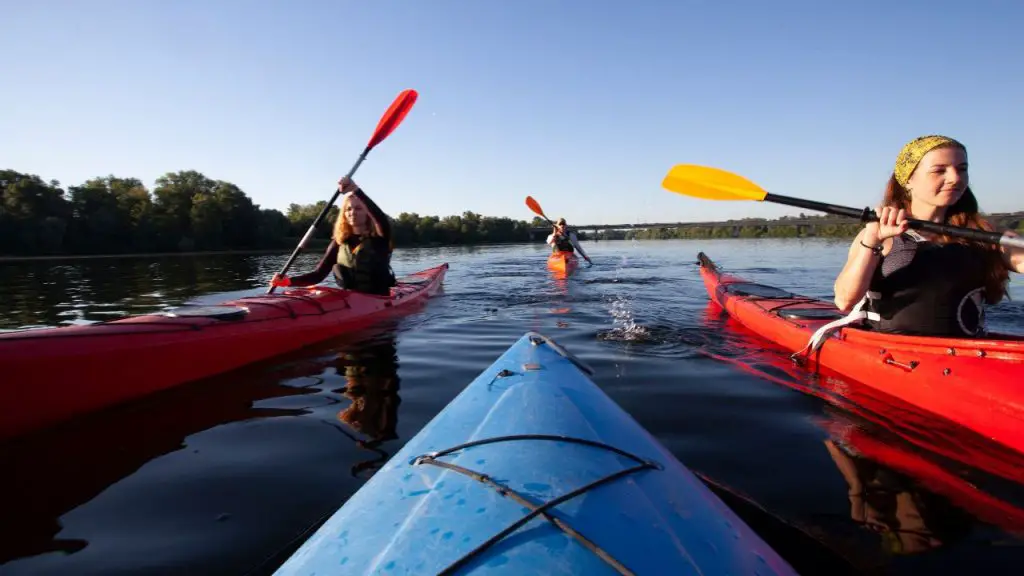 A group of friends are kayaking on the lake