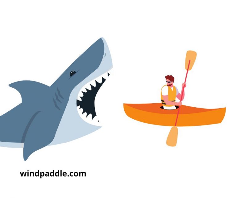 Do Sharks Attack Kayaks?