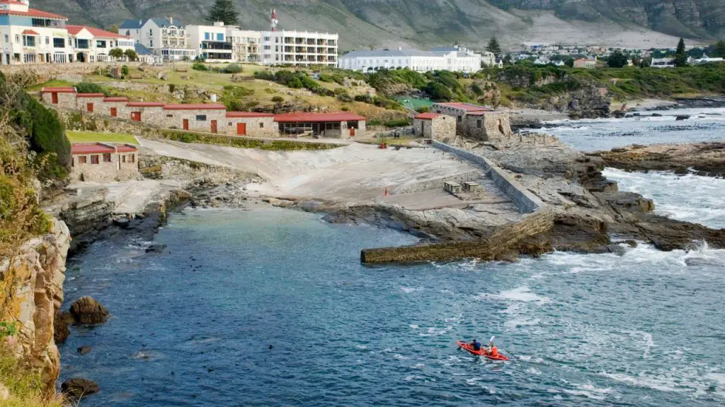 kayakers are trying to kayak to the coast