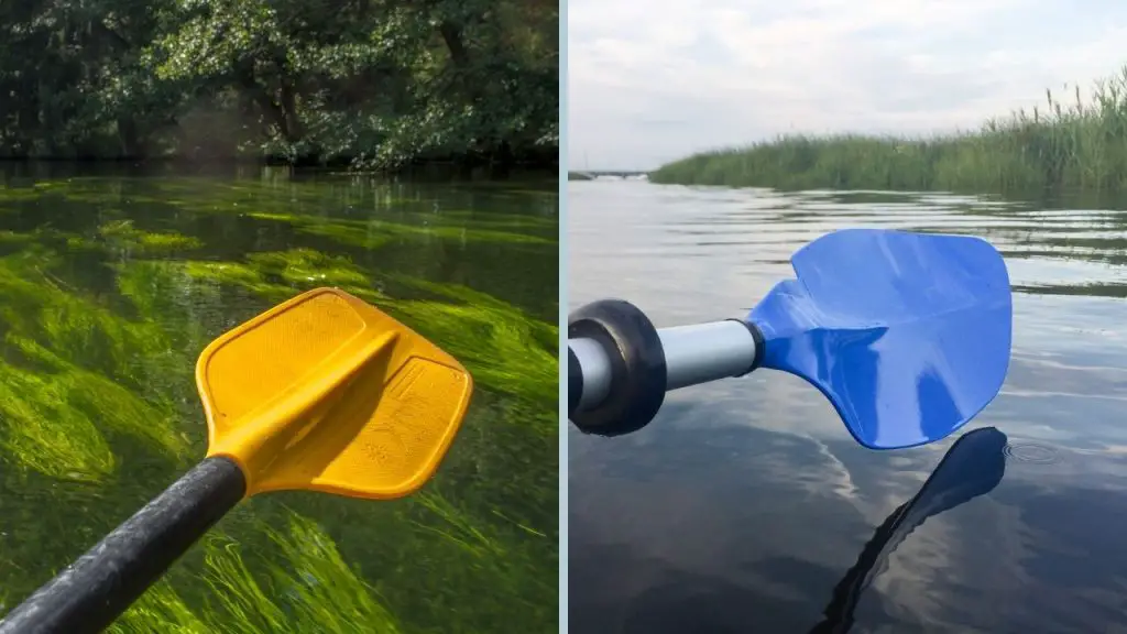 two kayak paddles with different design